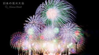 中止】2021 うつのみや花火大会 | 花火2022 HanaBeat
